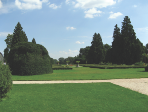 lawn-herbicides